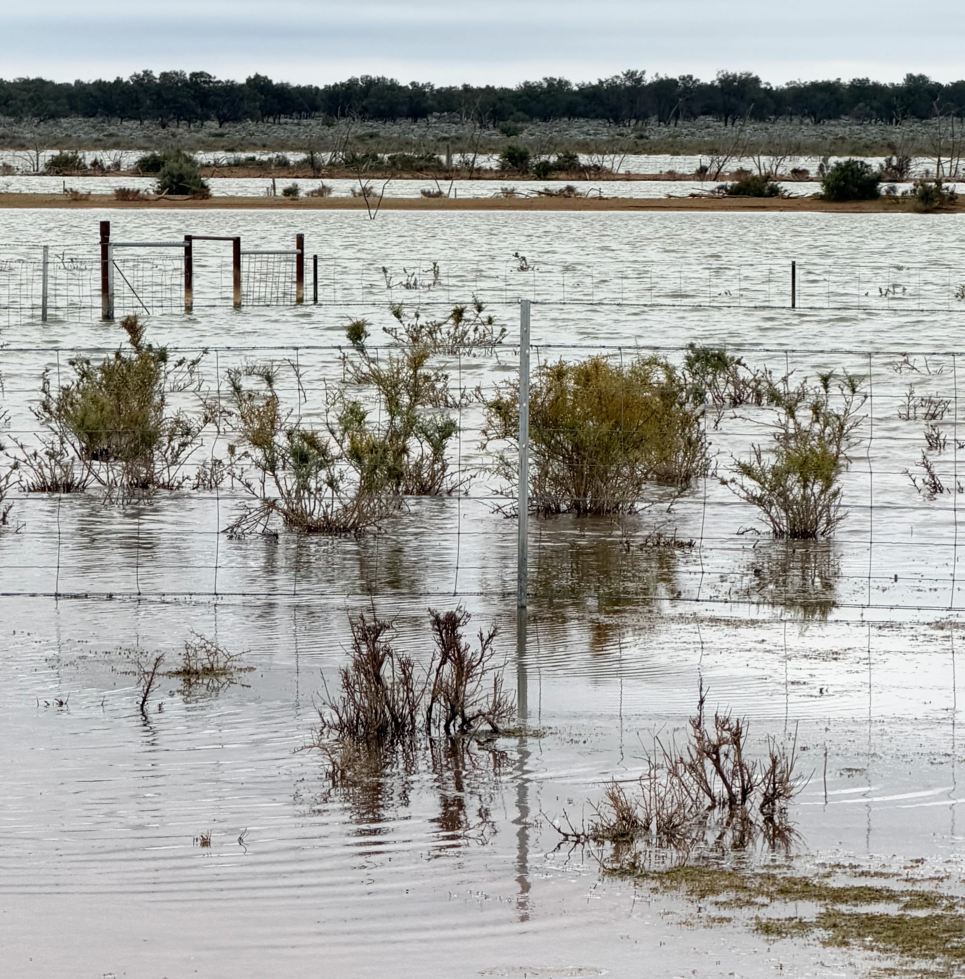 Water covering a flooded paddock to look like a lake, with fences through the water