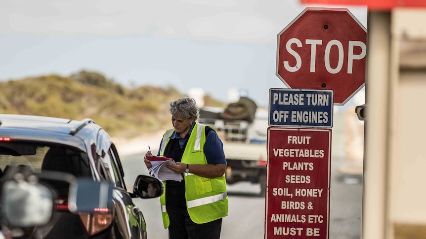 A woman wearing high-vis clothing at a road block.