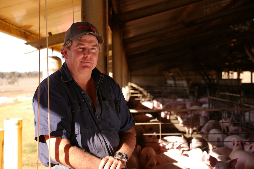 West Australian Pork Producers Association president