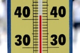 A thermometer shows the temperature soaring to over 40 degrees centigrade