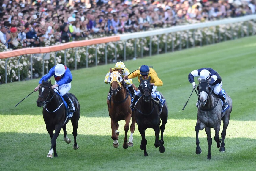 Adelaide (wide L) beats Fawkner (wide R) in the 2014 Cox Plate at Moonee Valley.
