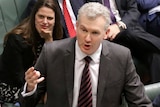 Tony Burke speaks in the House of Representatives as other MPs look on.