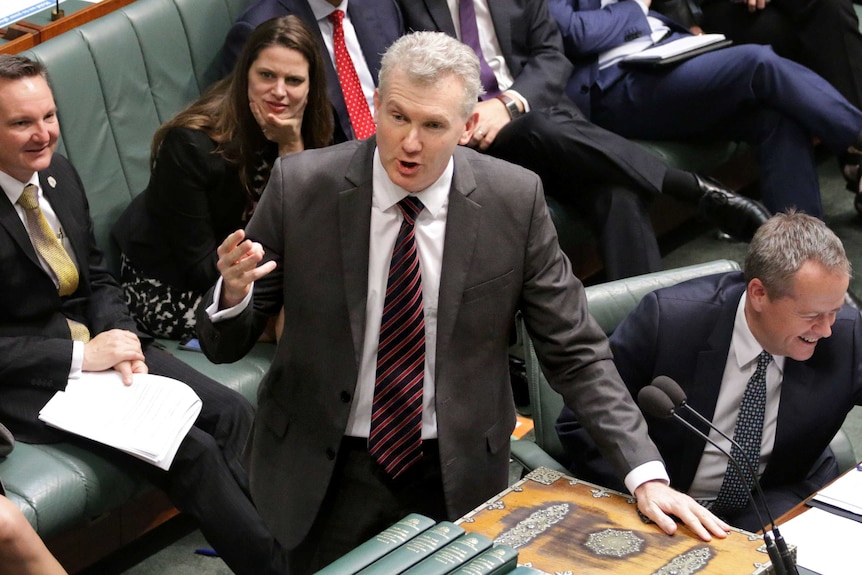 Tony Burke speaks in the House of Representatives as other MPs look on.