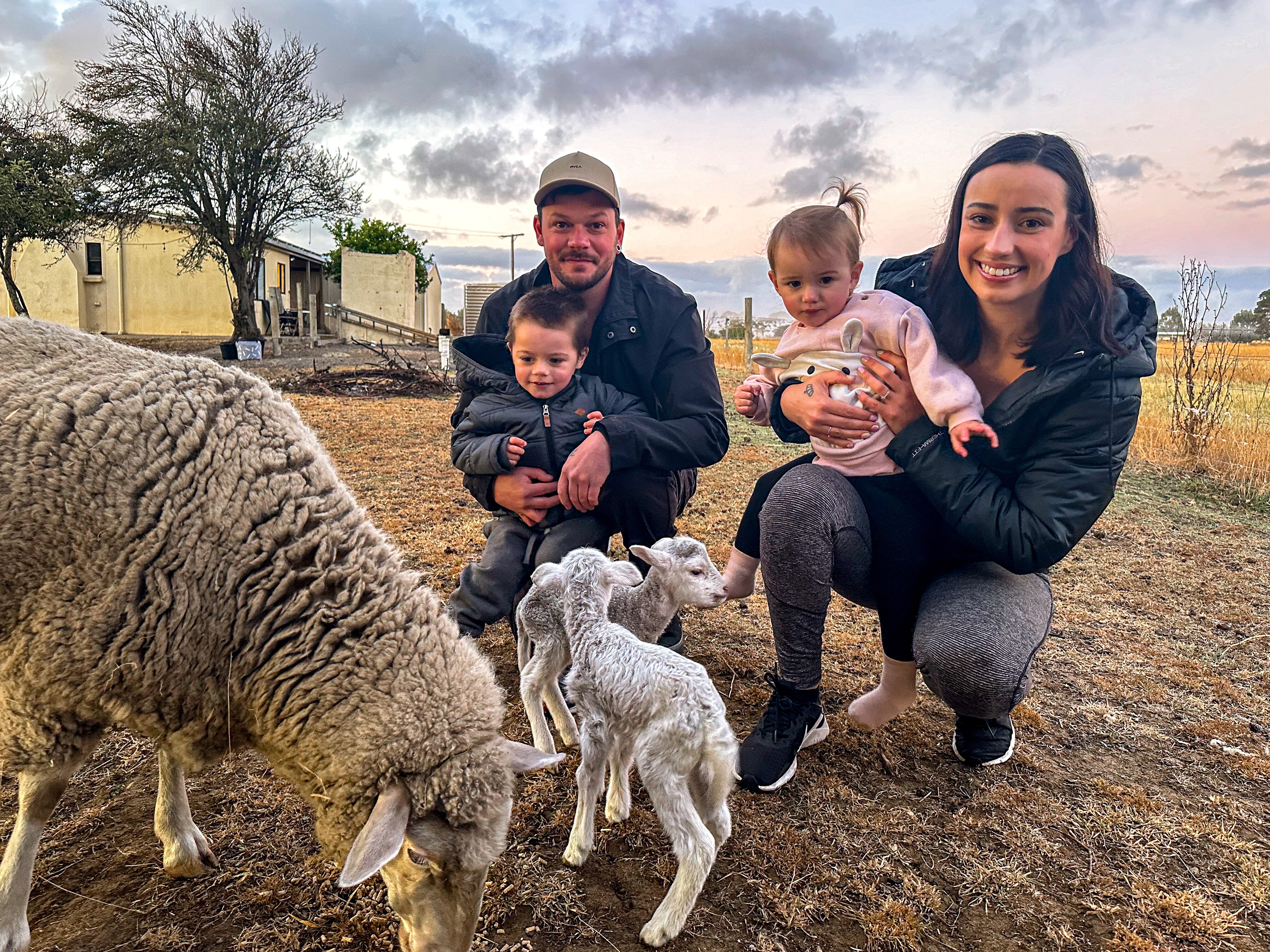 Brad holds Nate and Shannon holds Mila next to lambs and sheep