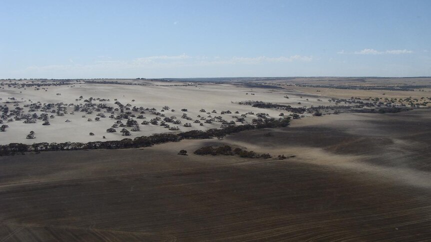 An aerial view of farms burnt out by a bushfire at Badgingarra in Western Australia
