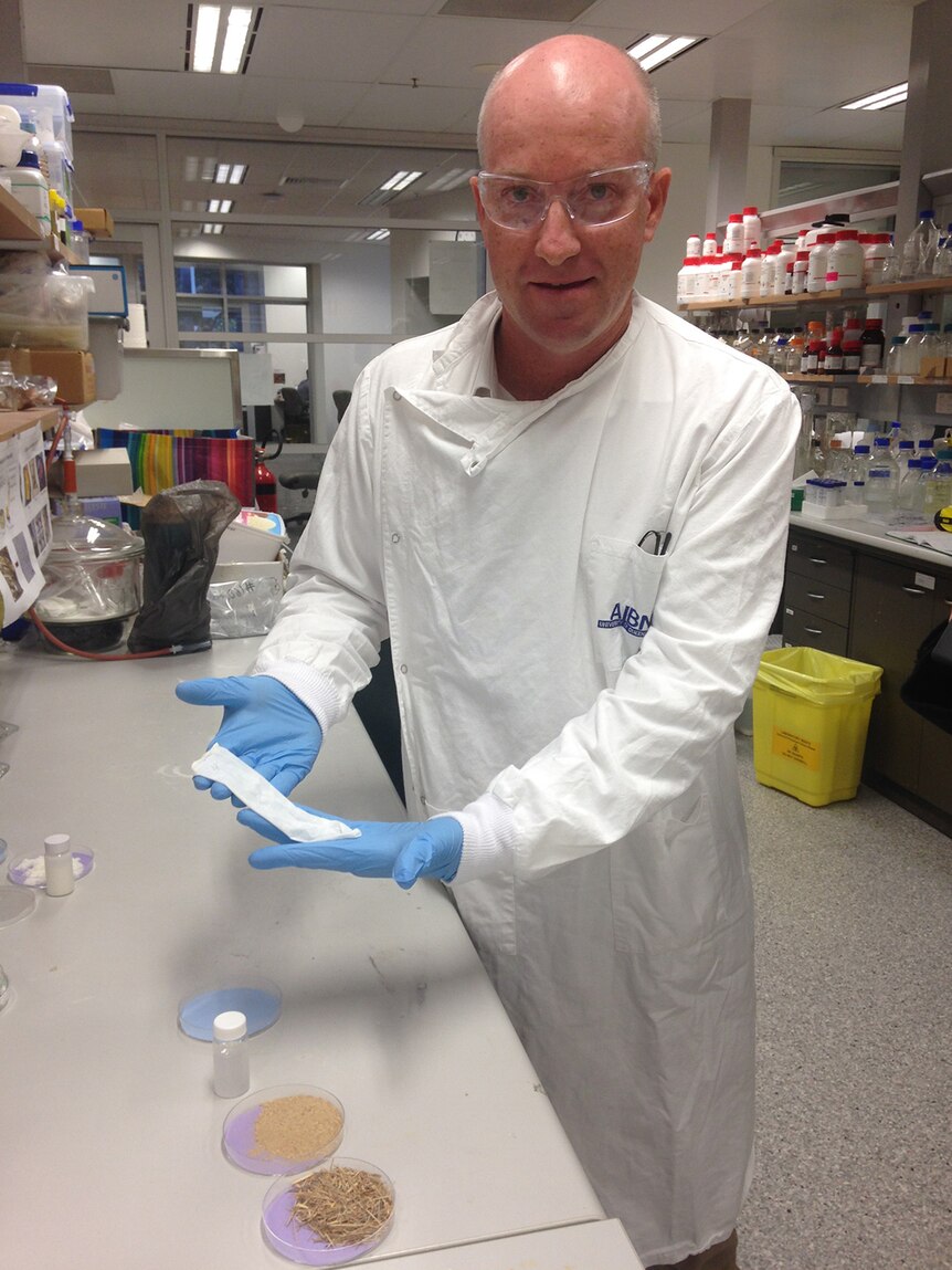 University of Queensland Professor Darren Martin holding the 'world's thinnest, strongest condom'