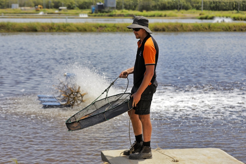 A man holding a net, standing on a wharf.