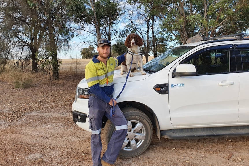 Man in high vis stands next to work car with dog sitting on bonnet.