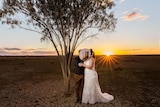 Wedding couple stand under tree at sunset in outback