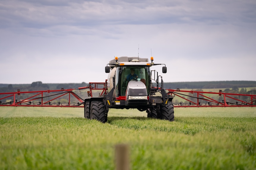 Photo of a machine spraying fungicide on grain