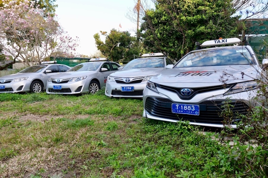 A row of grey coloured taxis are parked on grass