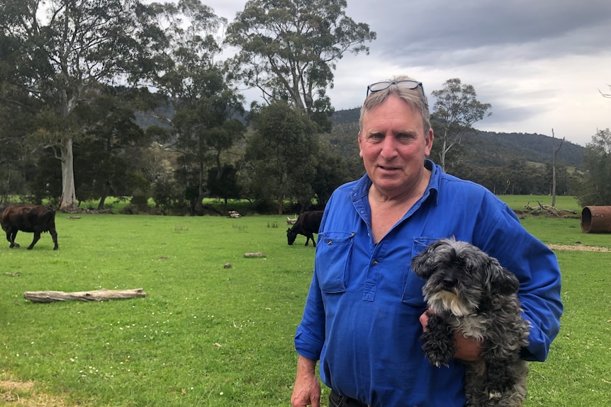 man holding dog in paddock