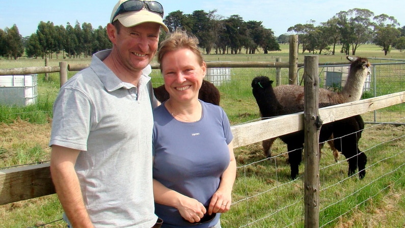 Nick and Isabel Renters with some of their alpacas