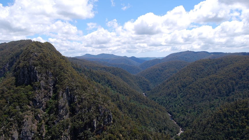 River and hills below Leven Canyon