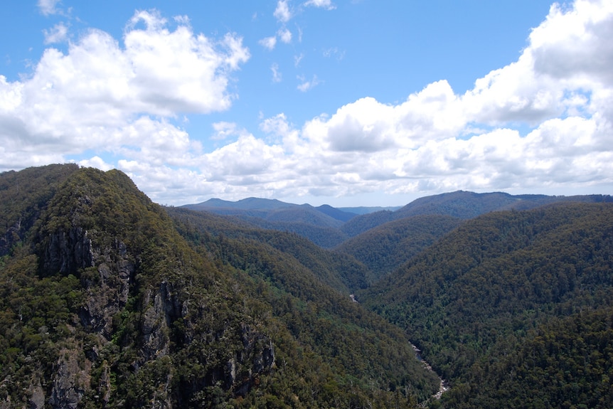 River and hills below Leven Canyon