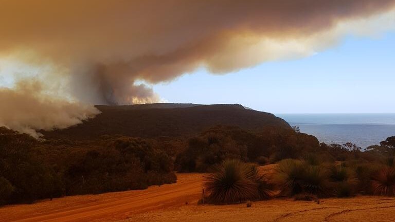 A bushfire smoke plume rises from the horizon near a cliff looking out onto ocean. The foreground has turned orange as a result.