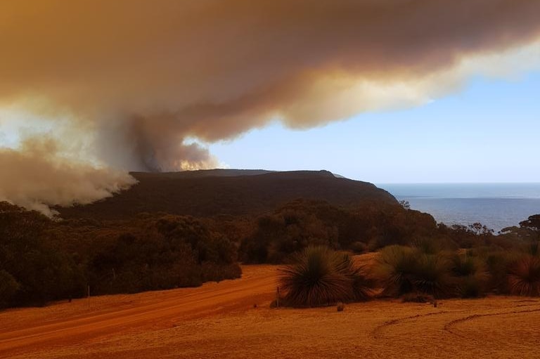 A bushfire smoke plume rises from the horizon near a cliff looking out onto ocean. The foreground has turned orange as a result.