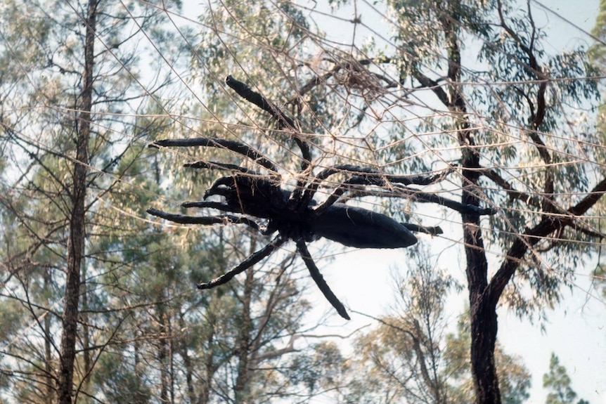 a giant spider sculpture suspended in the air