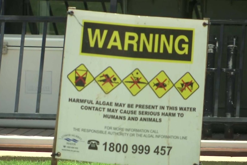 A white sign with yellow and black writing warns of harmful algae and includes the algal information line number.