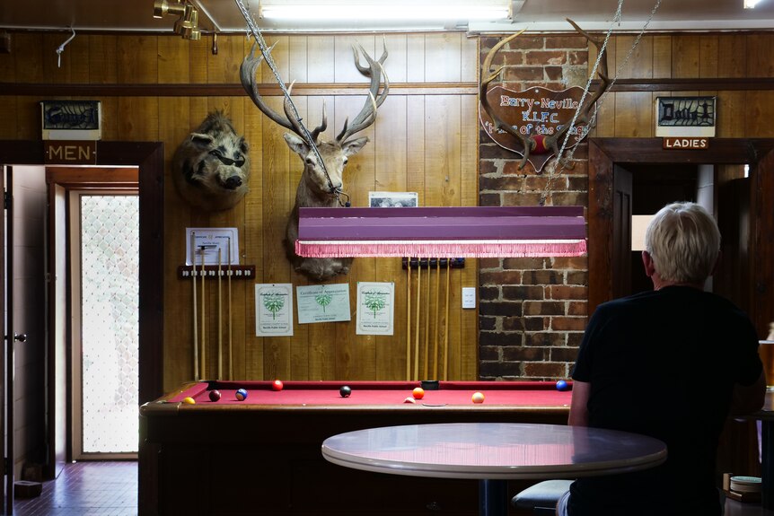 Inside of a pub with a pool table, and a pig and deer head mounted on the wall.