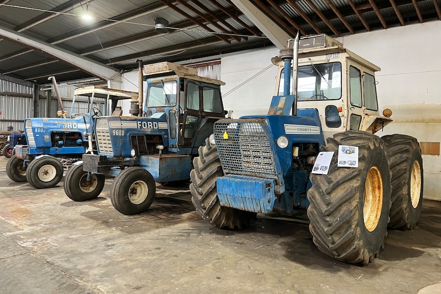 Three old Ford tractors in a shed.