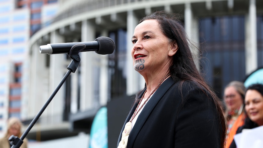 Debbit Ngarewa-Packer speaks at a microphone on the steps of New Zealand Parliament. 