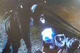 Grainy photo of a person in a hoodie with a torch looking through bags