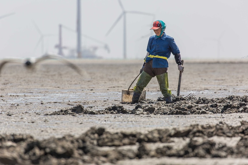 Workers in the mudflats at Rudong