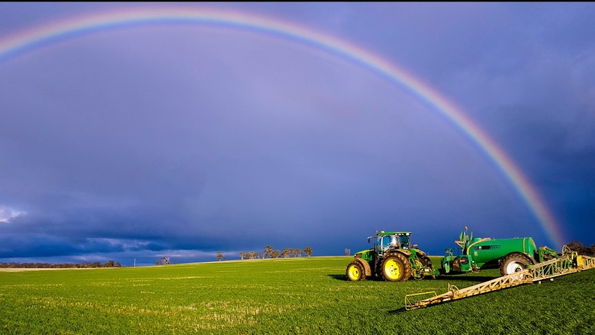 A tractor and spraying implement on green barley under a rainbow