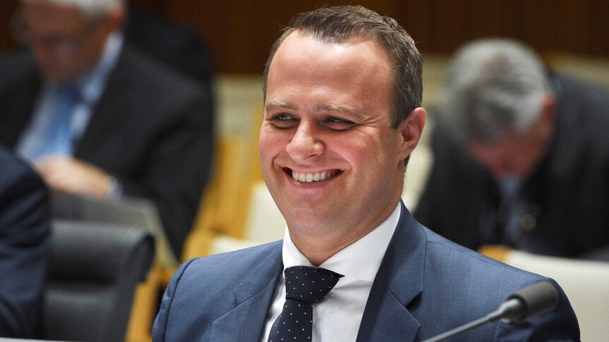 Upper body photo of Tim Wilson, seated, smiling during a Senate Estimates hearing.