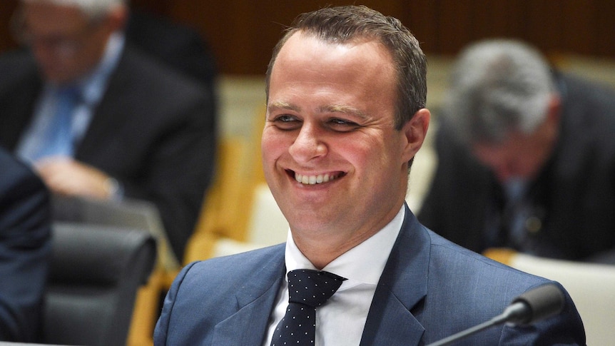 Tim Wilson was dubbed the Freedom Commissioner.