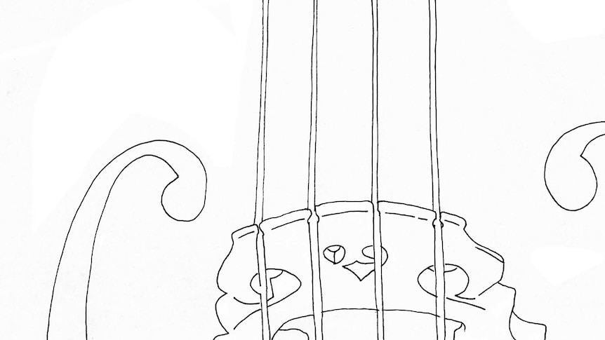 Line drawing of the bridge and f holes of a cello