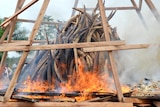 Five tonnes of ivory burns in Gabon.