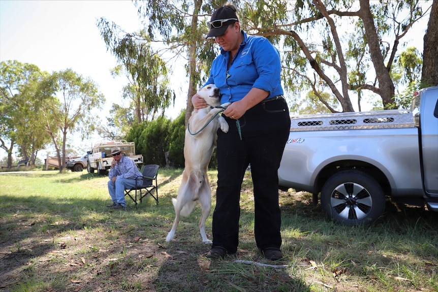 dog standing on legs with woman patting him