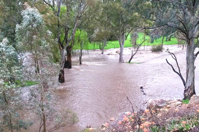 The River Torrens bursts its banks in the Tea Tree Gully area