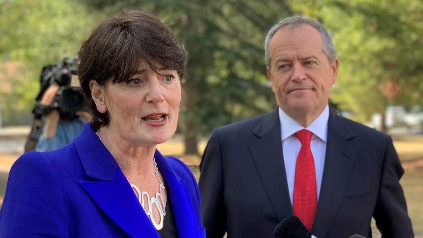 Fiona McLeod stands alongside Bill Shorten at a press conference in a park.