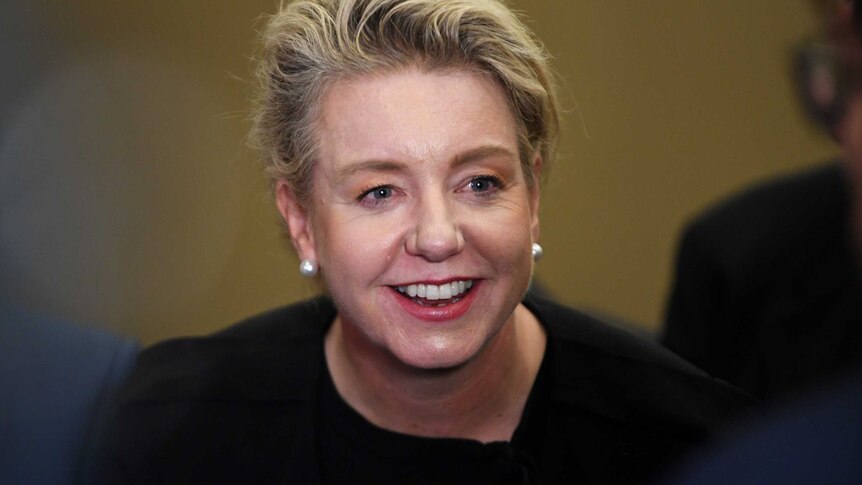 Bridget McKenzie looks slightly to the right as she smiles. She is wearing a black top and her blonde hair is swept back.