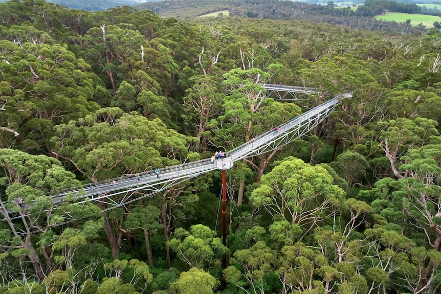 The eco-attraction attracts 140,000 visitors each year