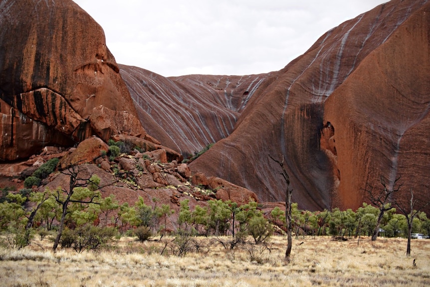 Uluru after rain with black streaks across it.