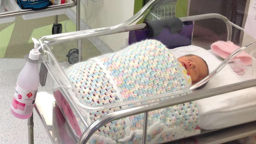 Newborns in Geelong have been moved to new special care nursery.
