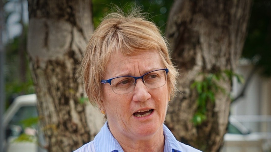 The NT Speaker Kezia Purick speaks at a press conference