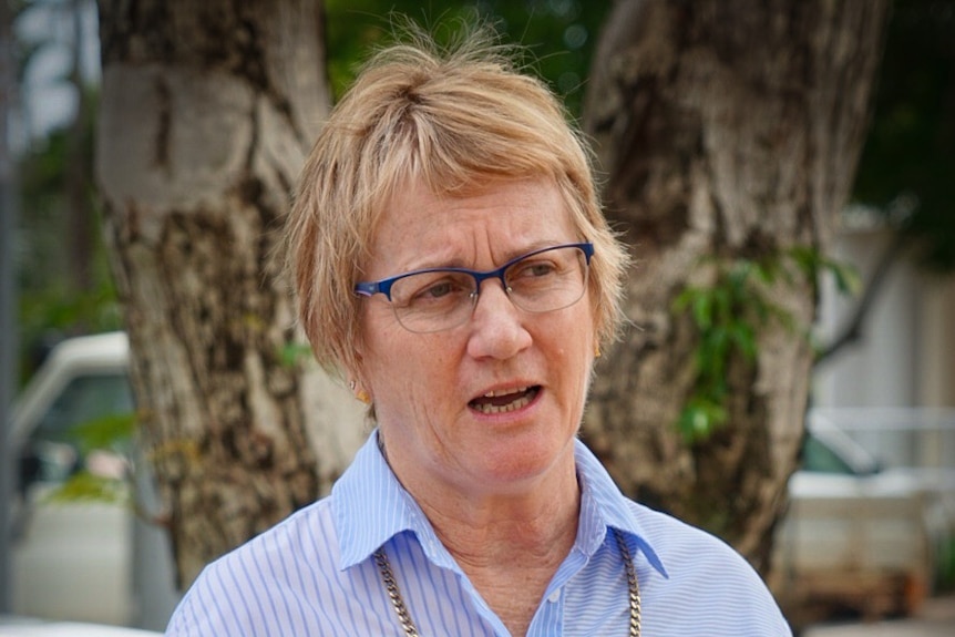 The NT Speaker Kezia Purick speaks at a press conference