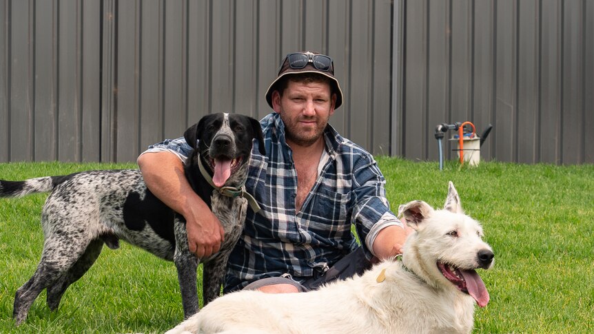 Man sitting with two dogs on grassy lawn.