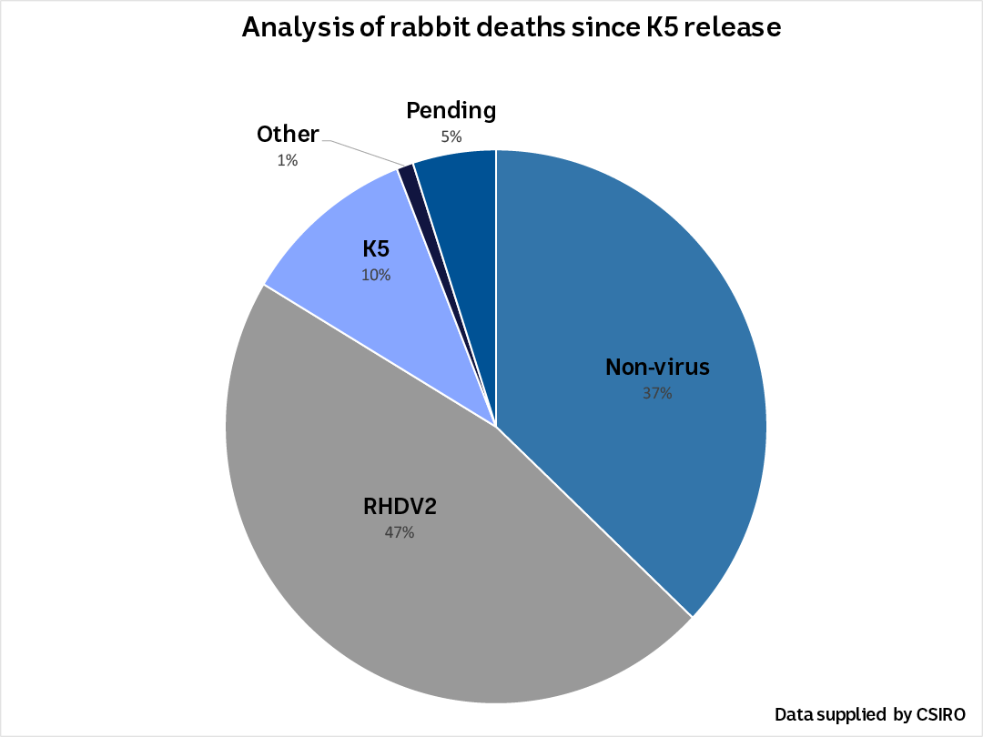 A pie chart showing the analysis of rabbit deaths since K5 release