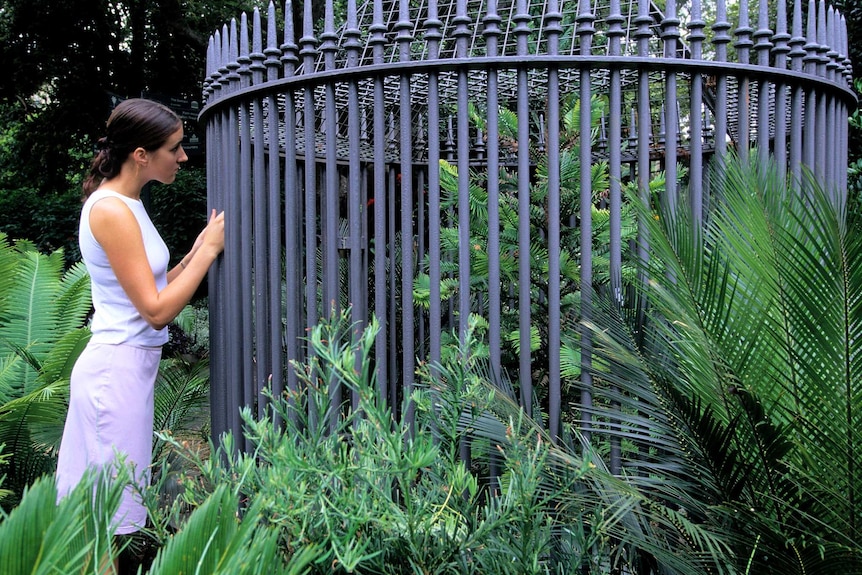 A woman looking at a Wollemi pine tree inside a cage.