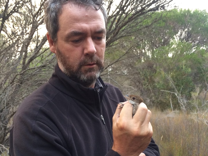 A man with dark grey hair and a beard looks at a small bird he is holding in his right hand.