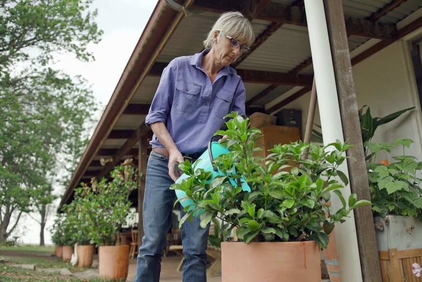 Lib Martin waters her plants from a bucket.