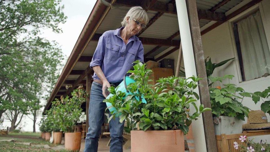 Lib Martin waters her plants from a bucket.