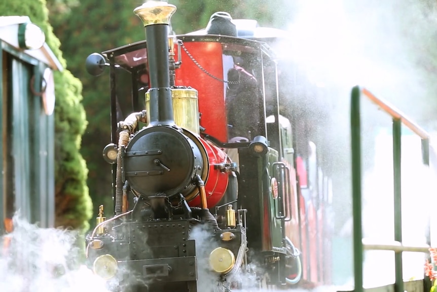 A steam-engine train travels along, puffing steam.