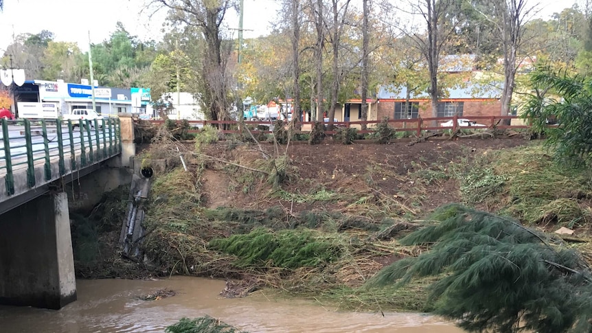 A creekbed filled with branches and debris.